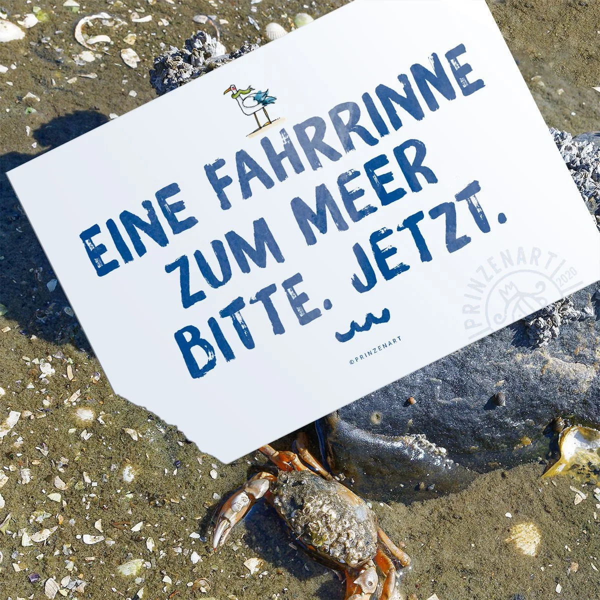 Postkarten Meersinn