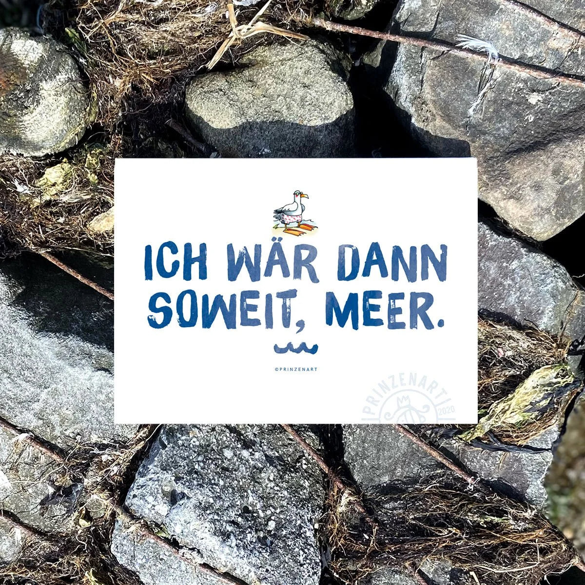 Postkarten Meersinn