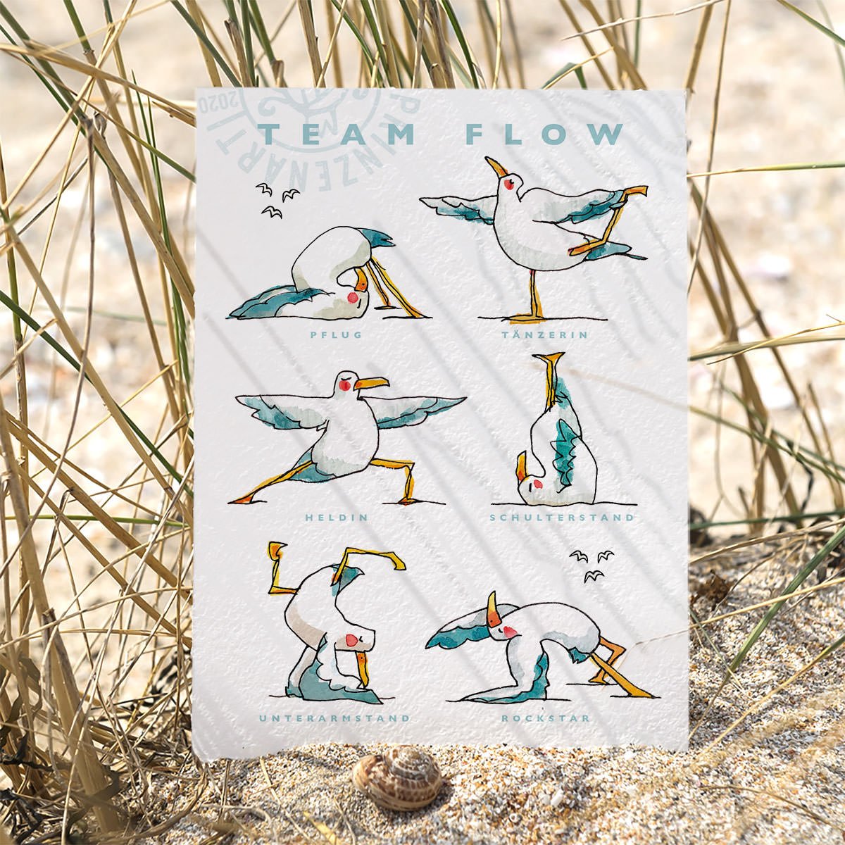 Yoga-Möwen Starter-Set | B2B