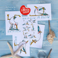 Limited Edition 5er-Set Yogamöwen-Postkarten mit Muscheln am Strand | Prinzenart