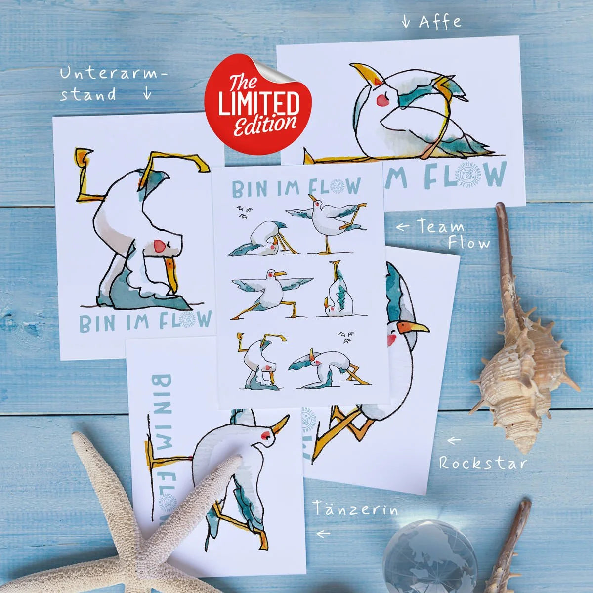 Limited Edition 5er-Set Yogamöwen-Postkarten mit Muscheln am Strand | Prinzenart