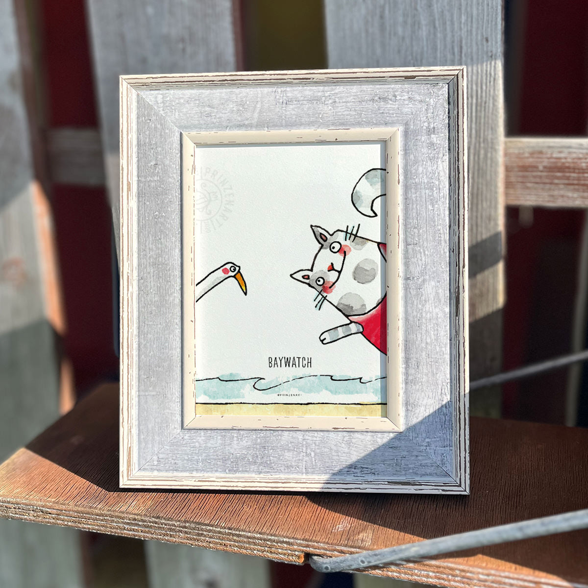 Poster Serie Strandkatzen