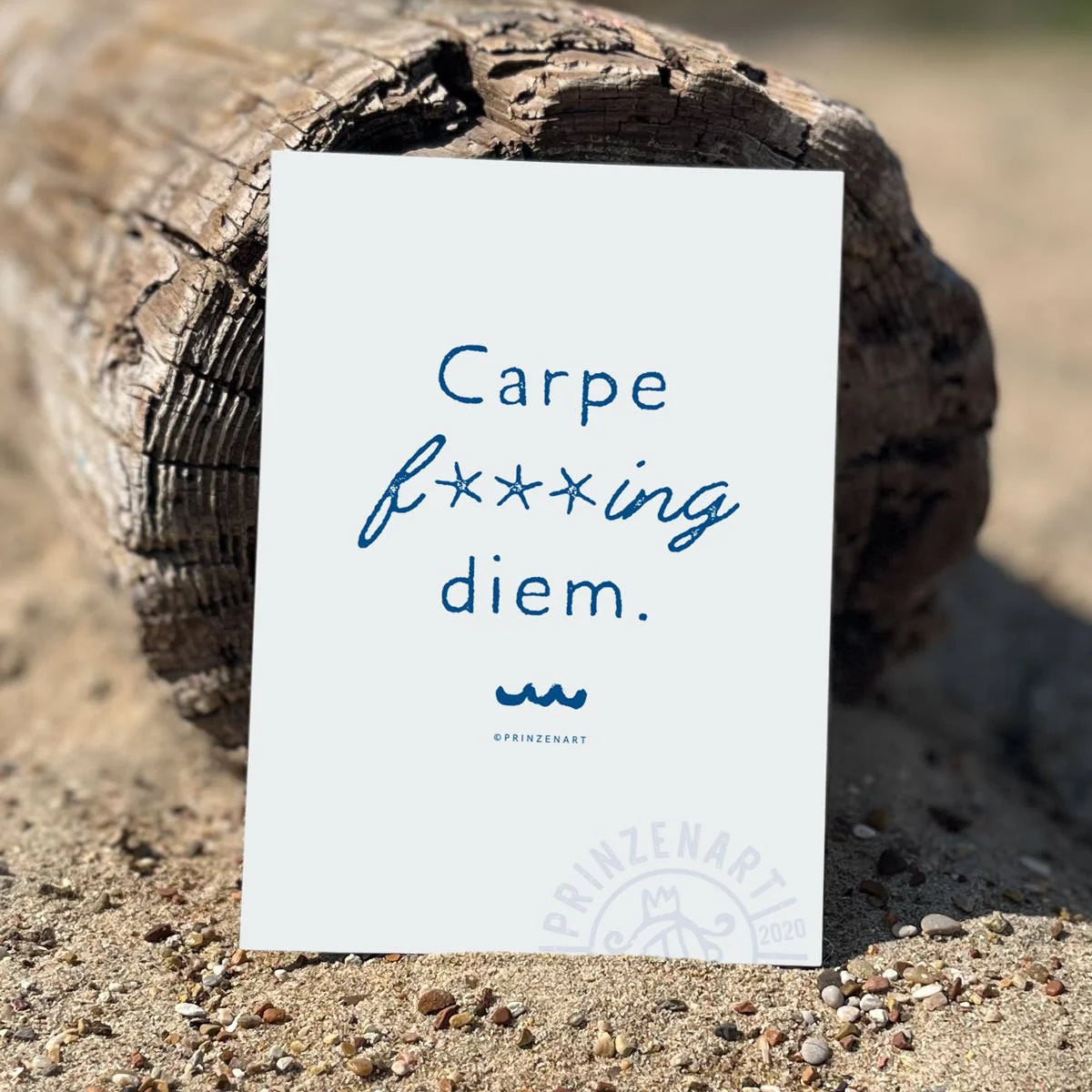 Postkarte Carpe f Diem, maritimer Spruch mit Möwe am Strand | Prinzenart