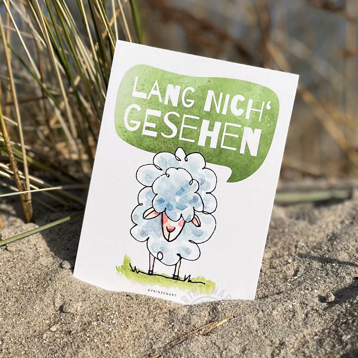 Postkarte Küstenschaf Lang nich gesehen, Schafe am Deich, Aquarell | Prinzenart