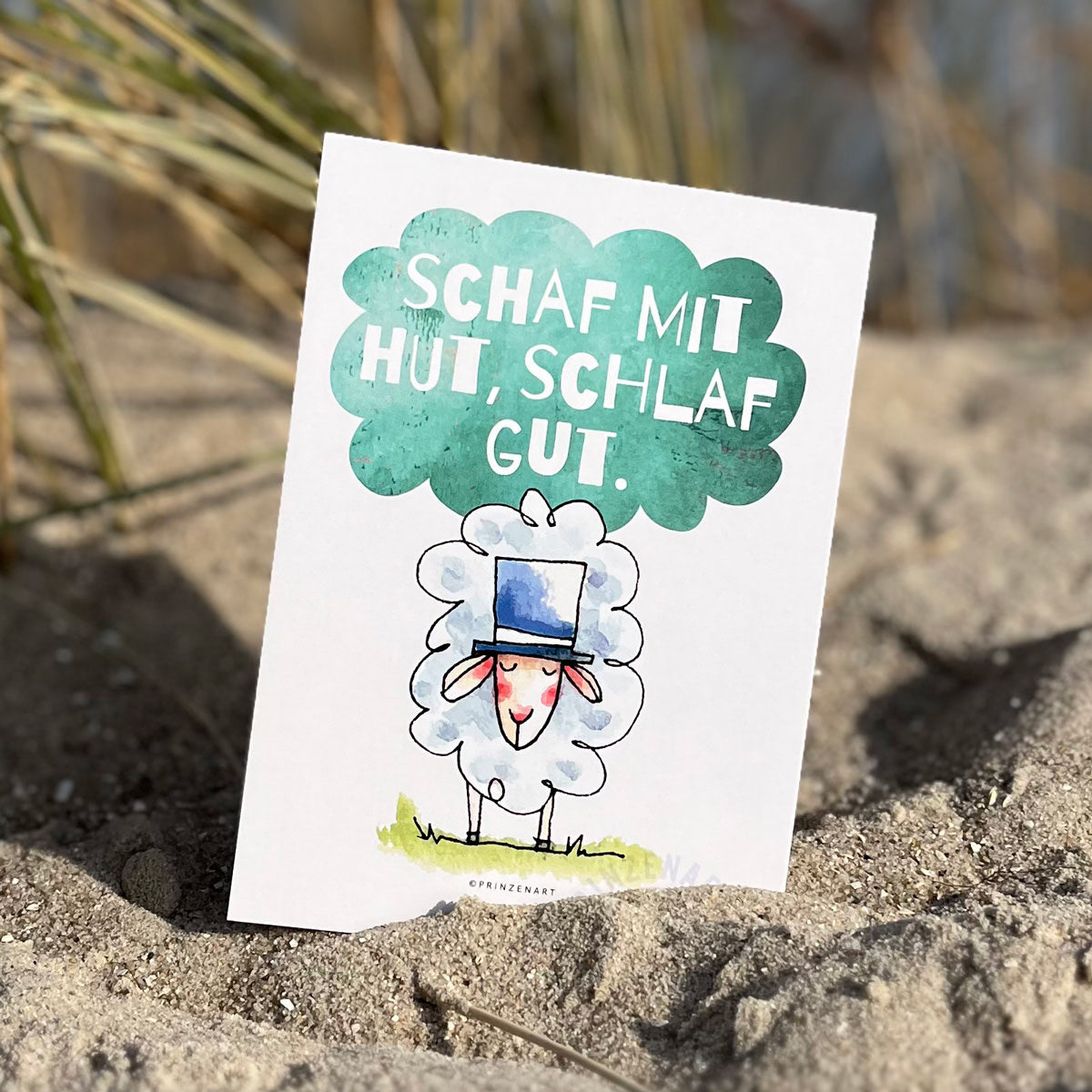 Postkarten Serie Küstenschafe | B2B