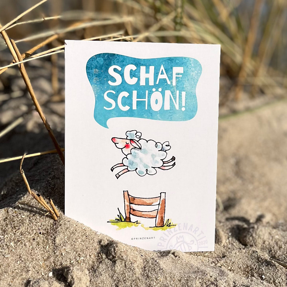 Postkarten Küstenschafe