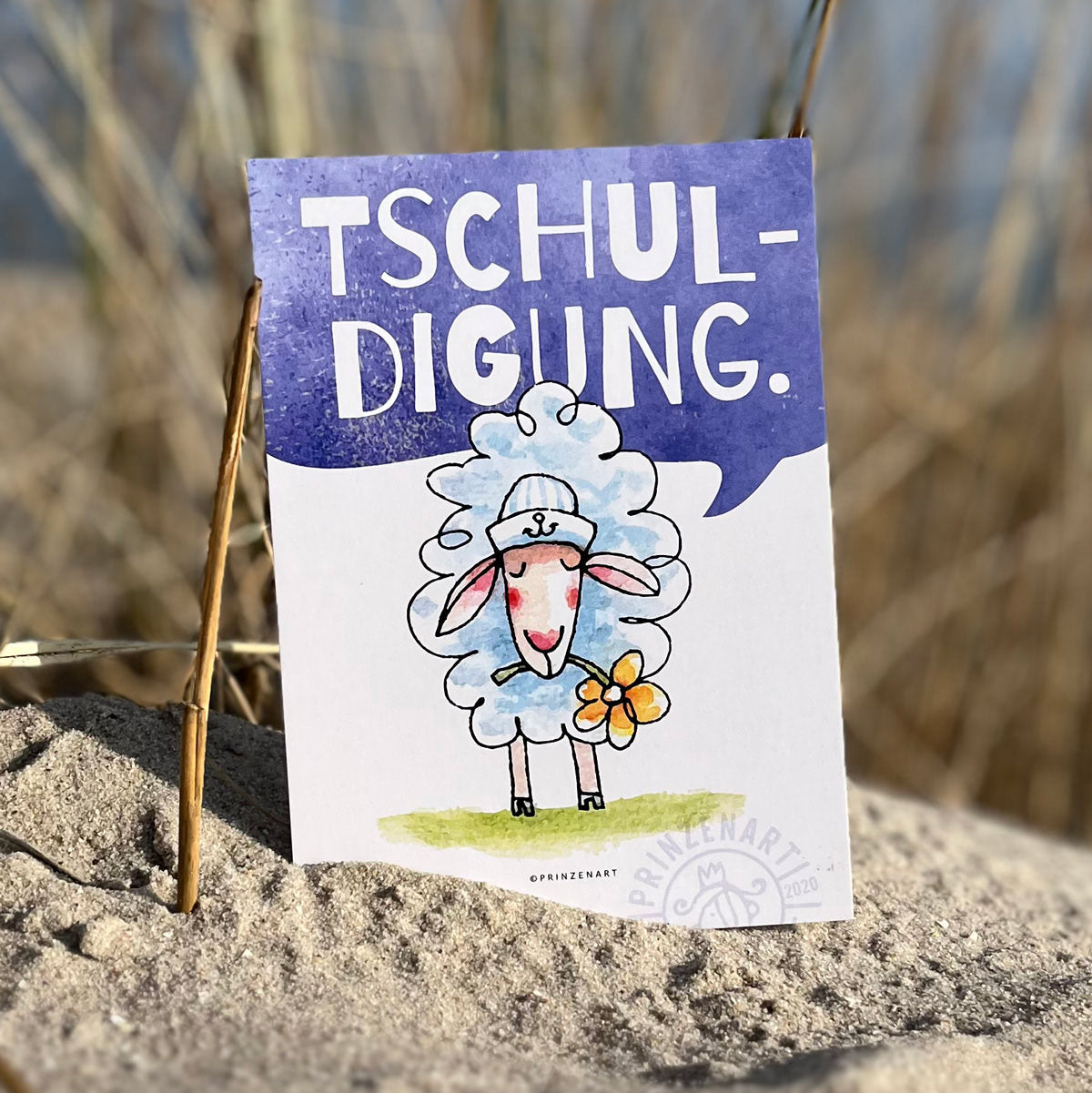 Postkarten Küstenschafe