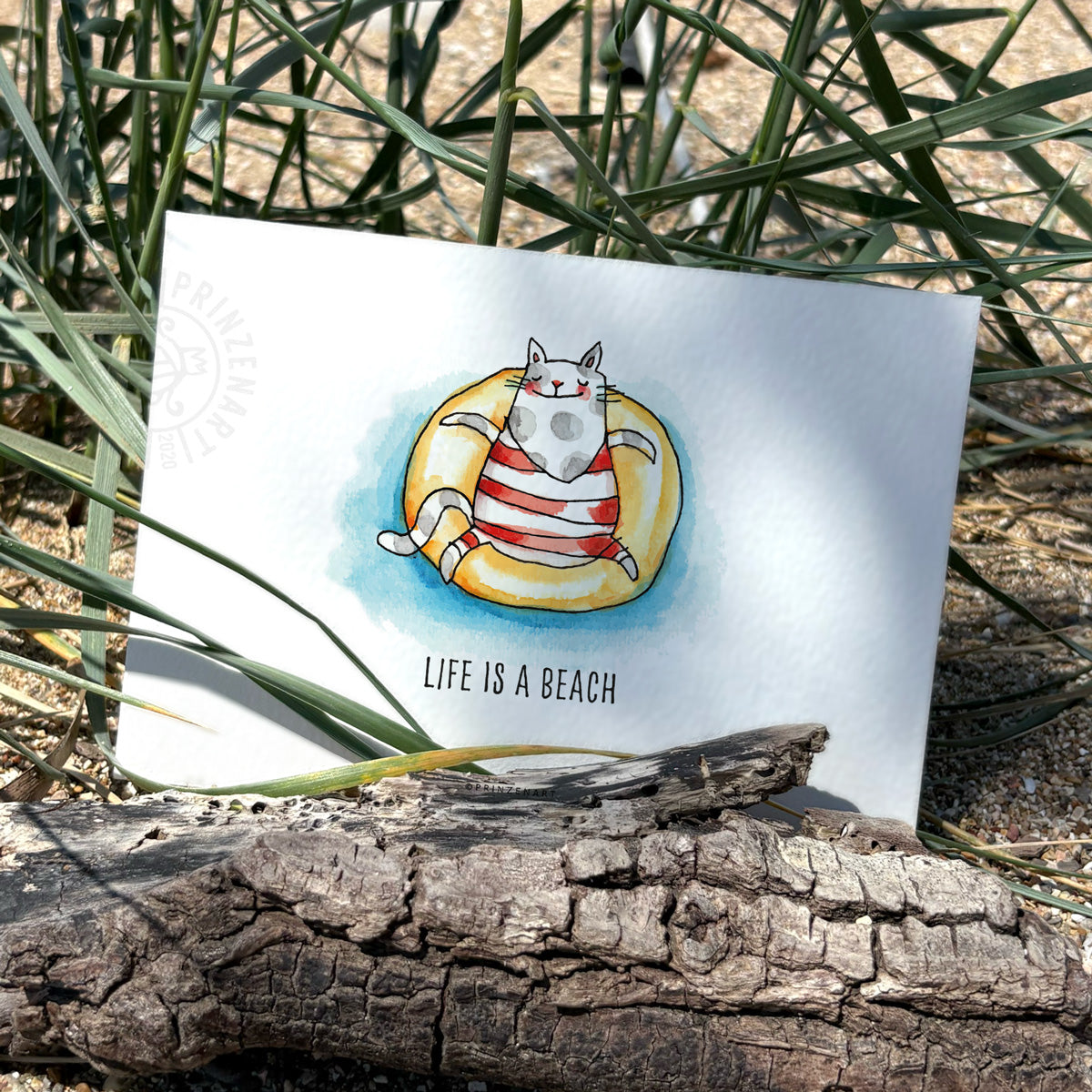 Postkarten Strandkatze