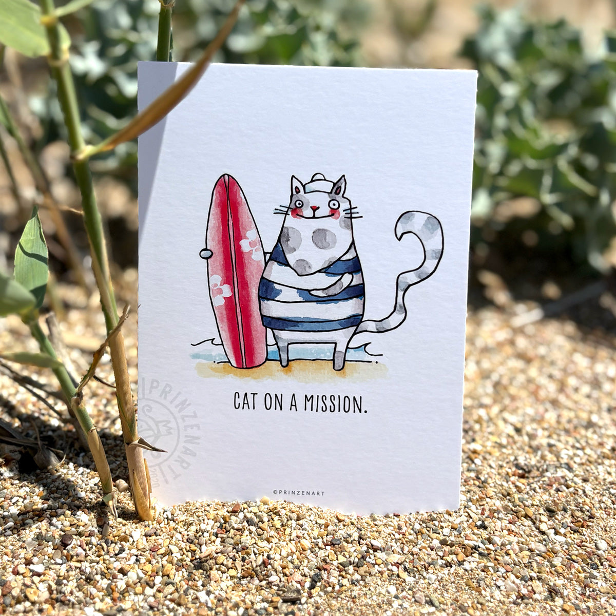 Postkarten Strandkatze
