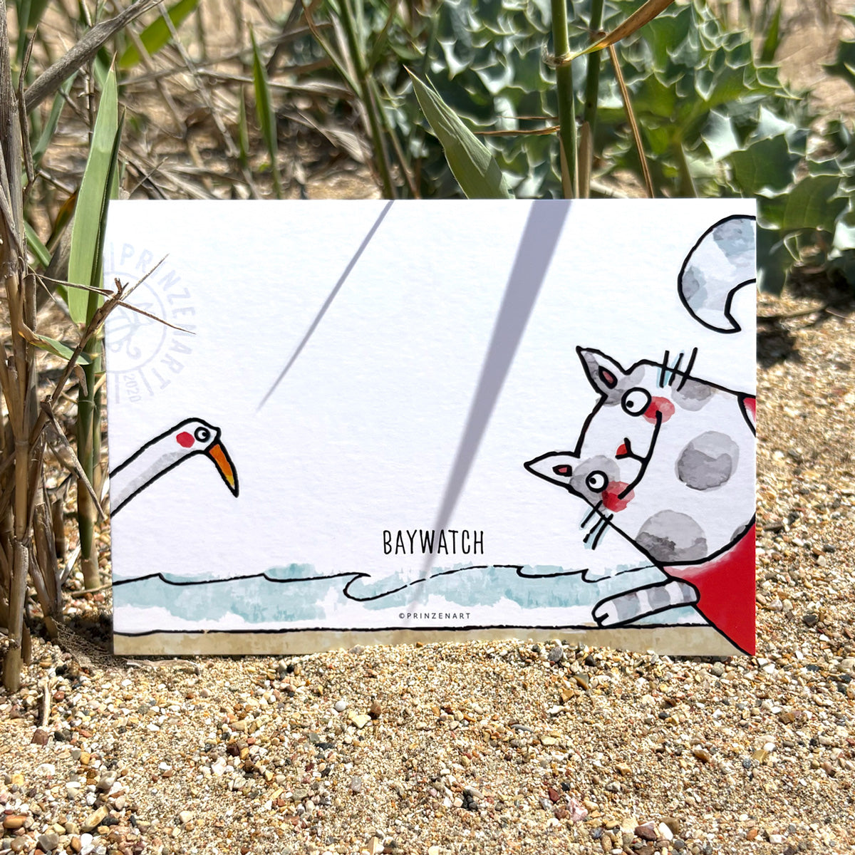 Postkarten Strandkatze