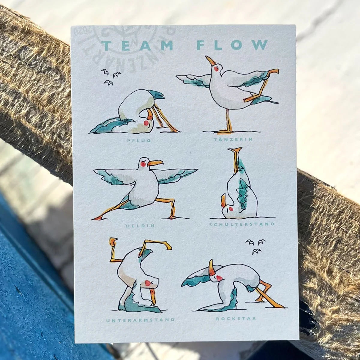 Yogamoewen-Postkarte Team Flow, sechs Moewen in Yoga-Posen am Ruder | Prinzenart